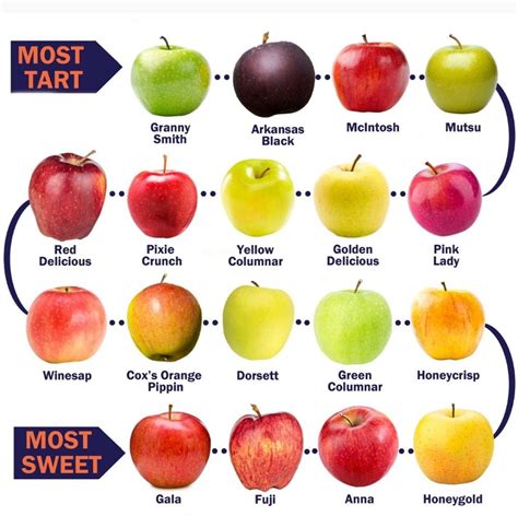 Apple Chart: Know Your Apples