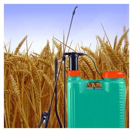 Agriculture|Metro Exporters|Manufacturer and exporter