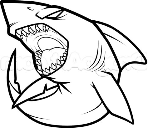 Shark Drawing Easy | Free download on ClipArtMag