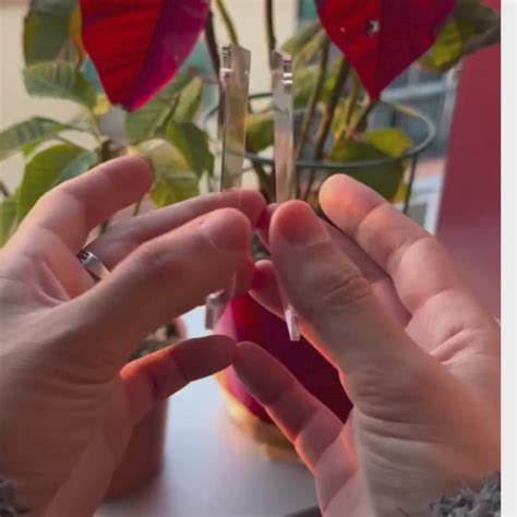 The Magic Memory Frame - Scan to play Video – Gifting Bonsai
