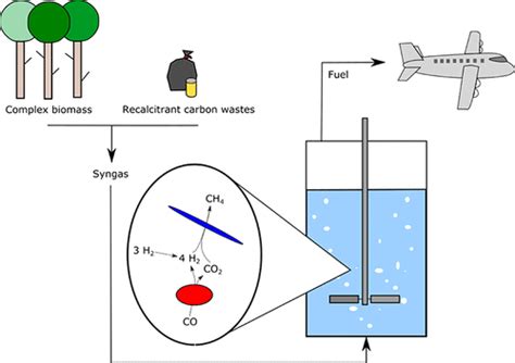 Biomethanation 的图像结果