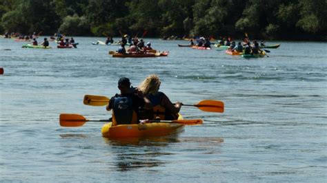Baixa la navegació fluvial pel riu Ebre | Sociedad | Actualidad ...