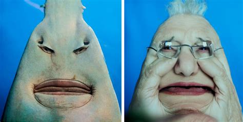 Stable Diffusion Meme 的图像结果