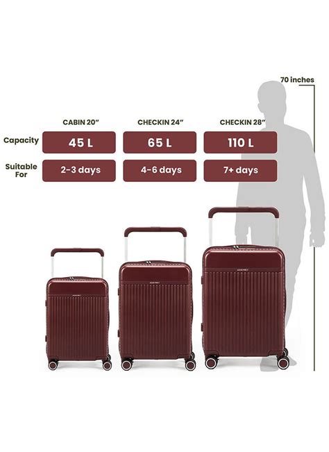 Rover Combo | Wine | Set of 3 Luggage