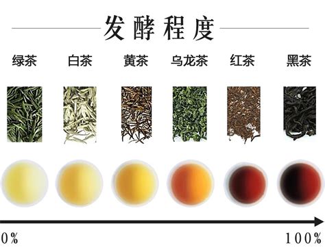 一张图看懂中国所有茶叶 – 徐自远的乱七八糟小站