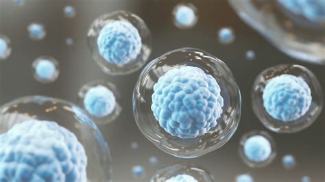 Does the 4.0 Concept Apply to Stem Cell Technology?