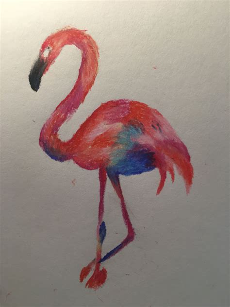 flamingo drawing oil pastel