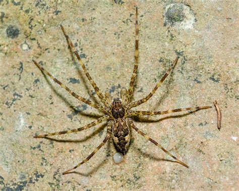 On the Subject of Nature: February 2015