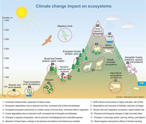 Environmental 的图像结果