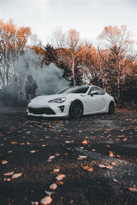 Image result for Tree Line Explained