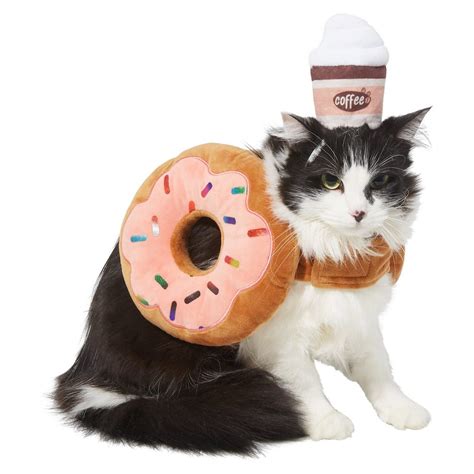 36 Best Cat Halloween Costumes for 2021 | Reader’s Digest