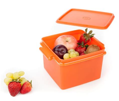 Signoraware 1.85 Litres Easy-to-Carry Big Box Container with Lid, Leak ...