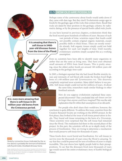 Biblical Science 的图像结果