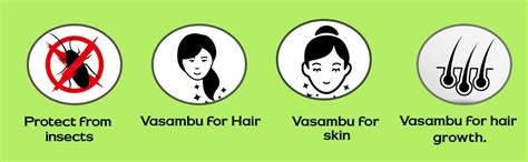 Buy BSD Organics Vasambu/Acrous Calamus/Sweet Flag - 100 gms Online at ...