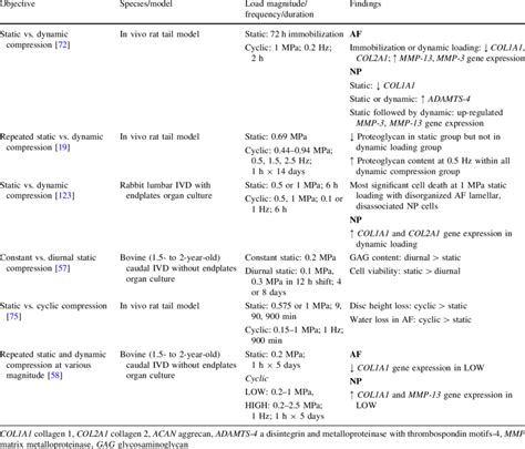 Image result for Static Loading vs Dynamic Loading Skull