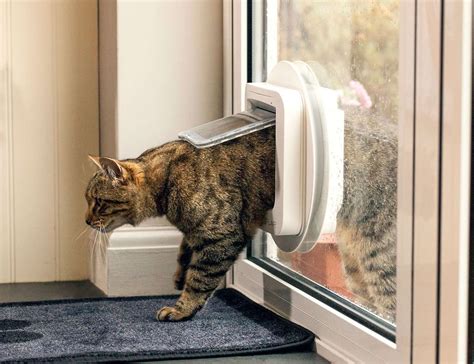 Microchip Cat Door, Supplied & Installed- Sydney Wide Pet Doors
