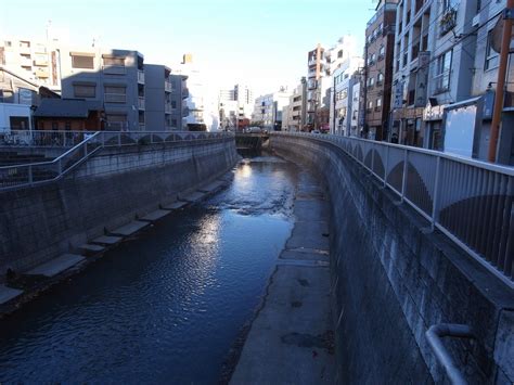 神田川の少し上流へ: ワンダーJAPAN編集長のブログ