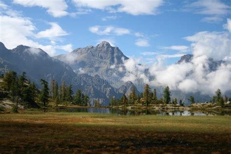 Image result for How to View HTML Code