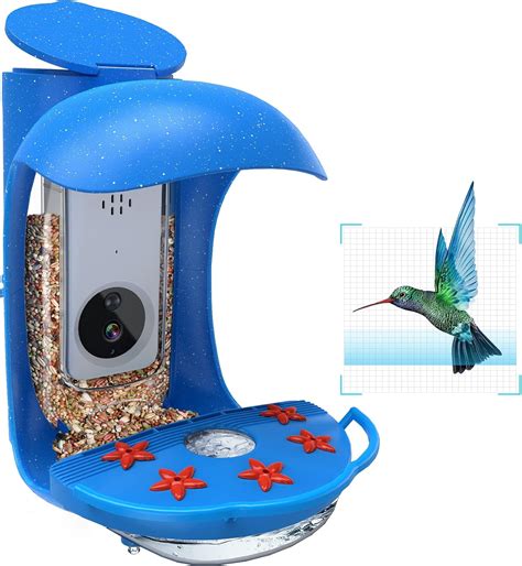 Amazon.com : BirdDock Hummingbird Feeder with Camera, Smart Bird Feeder ...