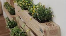 come fare l orto sul terrazzo come fare l orto sul balcone di un appartamento leichic it come fare l orto sul terrazzo come fare l orto sul balcone di un appartamento leichic it