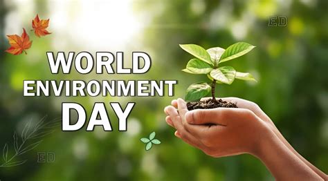 World Environment Day 2023: Pathways to Planet Protection