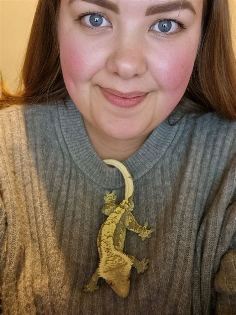 Charlotte Ryan on LinkedIn: #plmlinkedinchallenge #aboutme #5facts