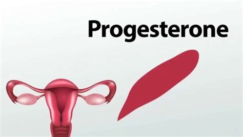 प्रोजेस्टेरोन के कार्य एवं गर्भावस्था में इसकी भूमिका - Progesterone ...