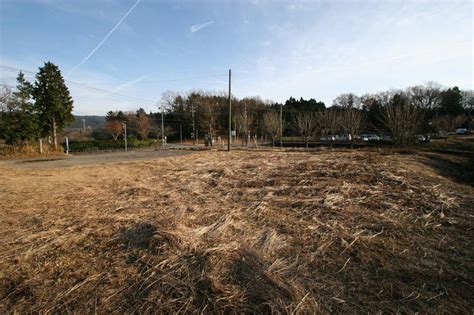 Image result for JavaScript Operators Coding