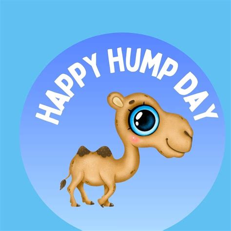 150+ Hump Day Quotes to Brighten Your Wednesday
