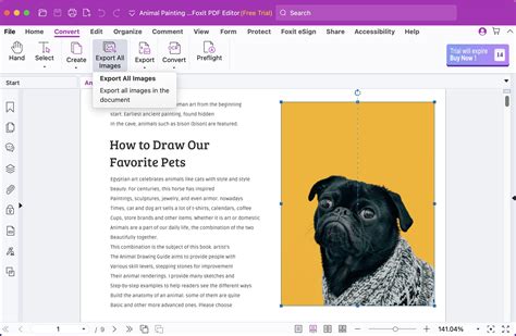 Image result for File Extractor Mac