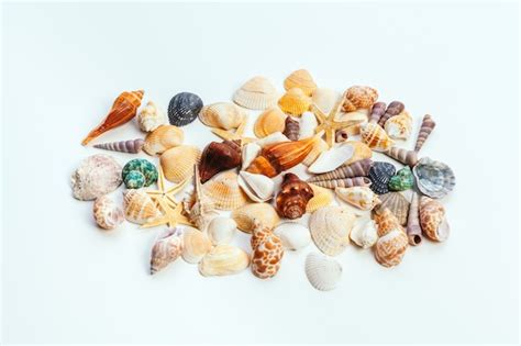 Image result for Isolated Shells