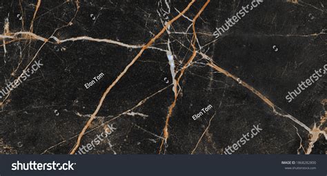 Image result for Marble Cladding Design Texture