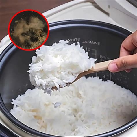 Can rice left in a rice cooker overnight still be eaten: Today I was ...