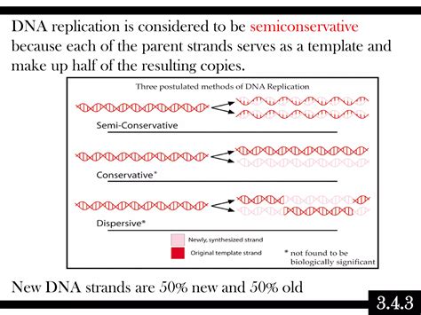 03.4 biochemistry - dna replication | PPTX