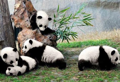 AMBIL SEKARANG