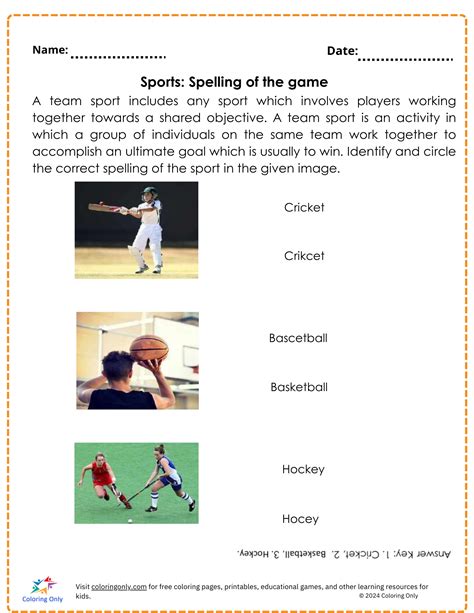 Sports Worksheet 的图像结果