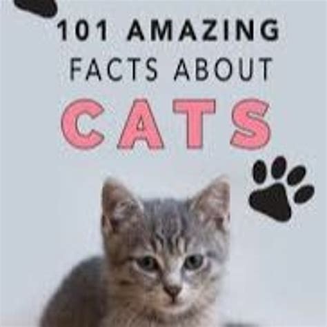 Image result for Cat Command in Shell Script