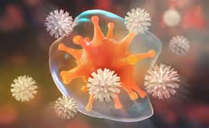 Supplements that help your immune system