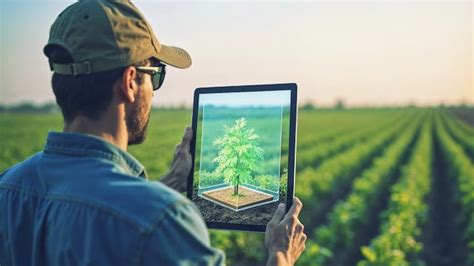 Crop Disease Detection Using Machine Learning 的图像结果
