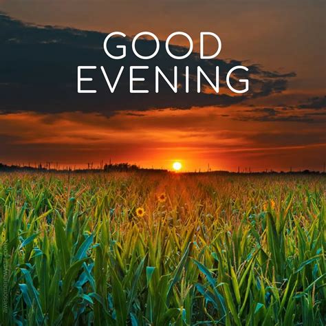 Evening Greetings Messages