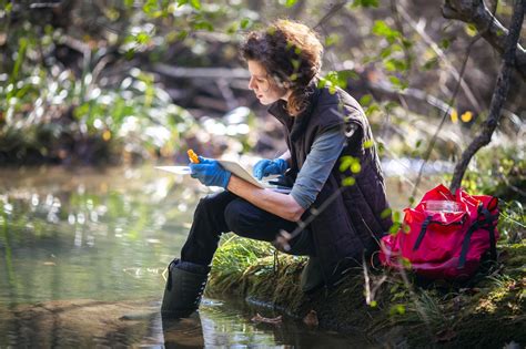 Best Environmental Science Degrees