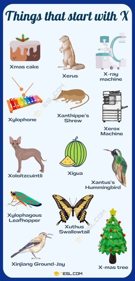 Things Archives • 7ESL