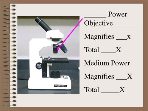 Image result for Compound Microscope Magnification Levels