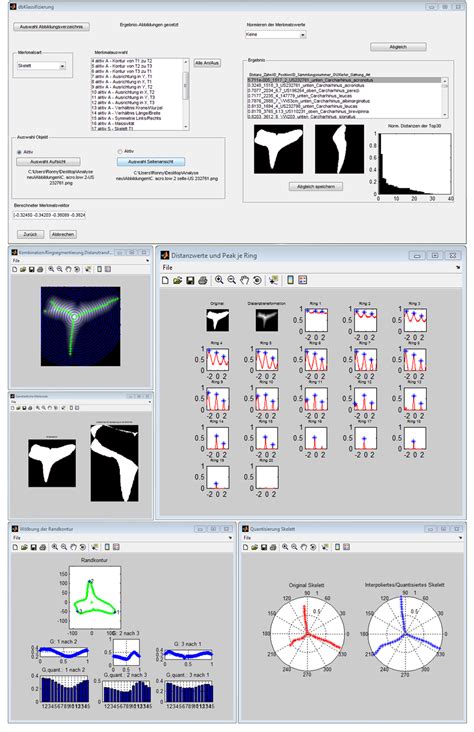 Morphometric Analysis Program MATLAB Script 的图像结果