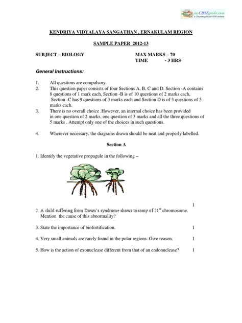 Image result for Bio Class 12 Sample Paper