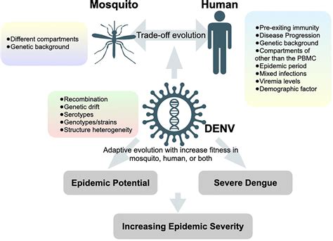 Frontiers | Application of Next-Generation Sequencing to Reveal How Evolutionary Dynamics of ...