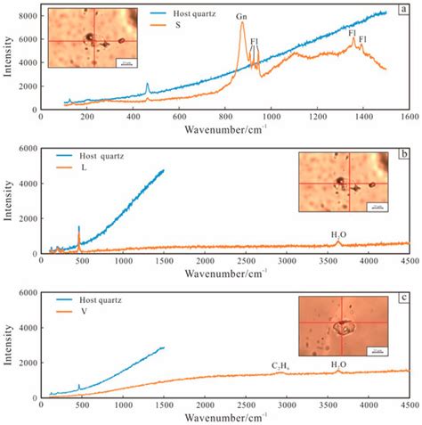 The Metallogenic Mechanism of Skarn Sn-Polymetallic Deposits in the ...