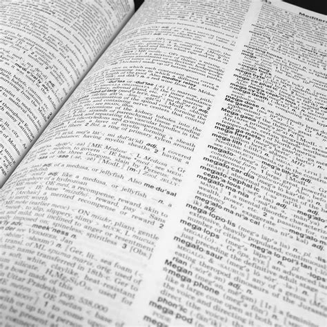 British Slang Insults