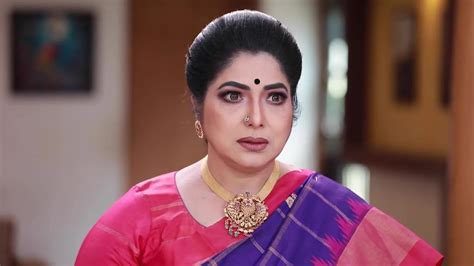 Varisu TV Serial Online - Watch Latest Show Episodes on ZEE5