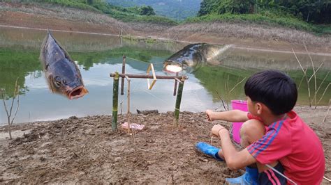Automatic Fishing Farm 的图像结果